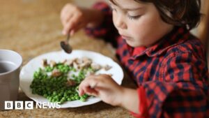 Child eating peas and mushrooms at a table, symbolizing global food security challenges.