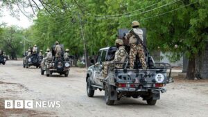 Nigerian and US forces confirm the killing of a senior IS leader during a joint operation.