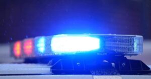 Winnipeg police file extortion charges related to a missing pet cat.