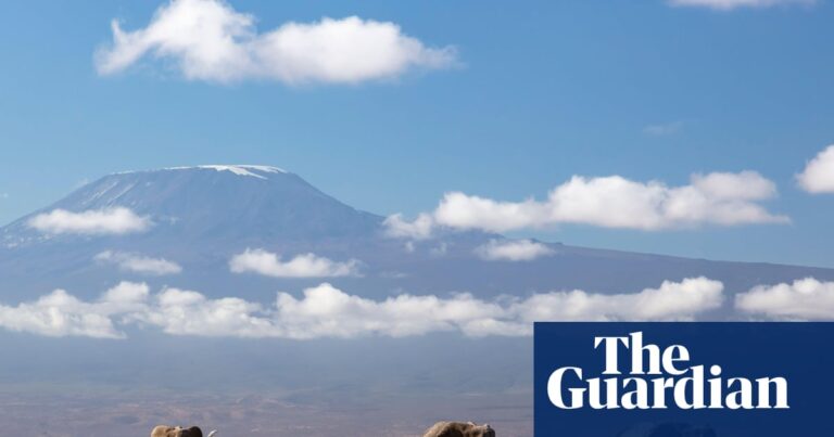 A herd of elephants walking on the savannah in Amboseli National Park, Kenya, with Mount Kilimanjaro in the background.
