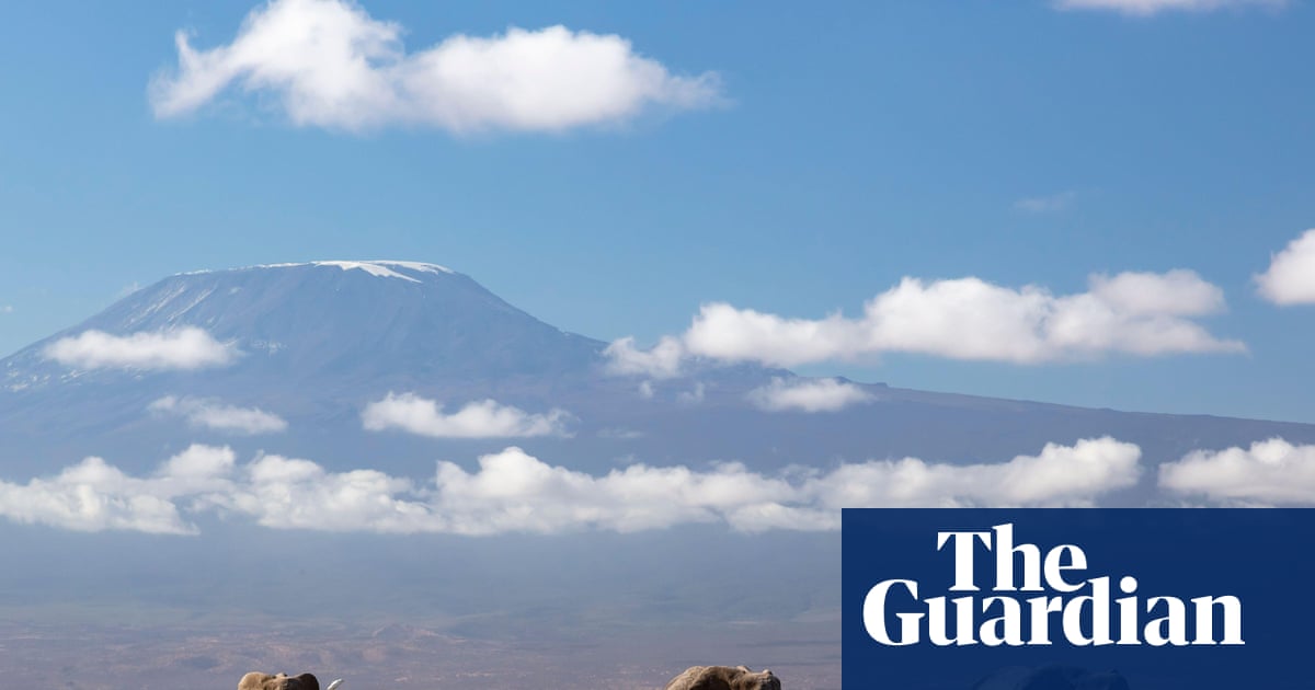 A herd of elephants walking on the savannah in Amboseli National Park, Kenya, with Mount Kilimanjaro in the background.