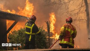 News article detailing the widespread destruction and evacuation caused by wildfires in France and Spain, with a focus on human impact and EU response.