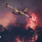 Aerial view of a small yellow plane fighting large red flames and smoke from European wildfires above dark trees in Europe.