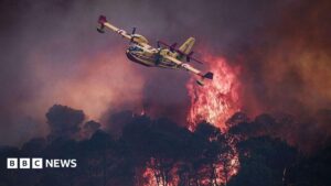 Aerial view of a small yellow plane fighting large red flames and smoke from European wildfires above dark trees in Europe.