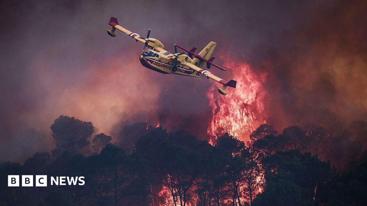Aerial view of a small yellow plane fighting large red flames and smoke from European wildfires above dark trees in Europe.