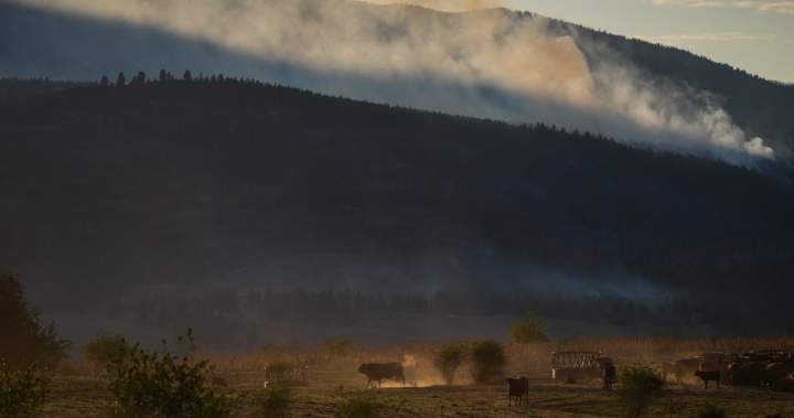 Farmers watch over their property as a wildfire burns nearby in British Columbia