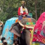 Mysuru Dasara elephants walking in procession with increased handler insurance.