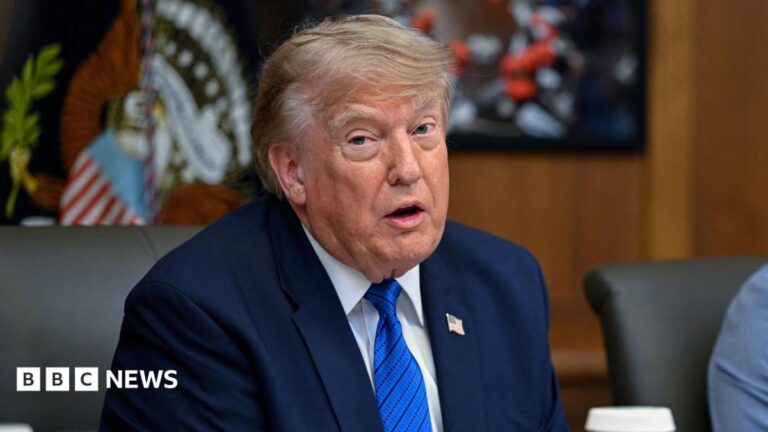 Donald Trump at a US cabinet meeting