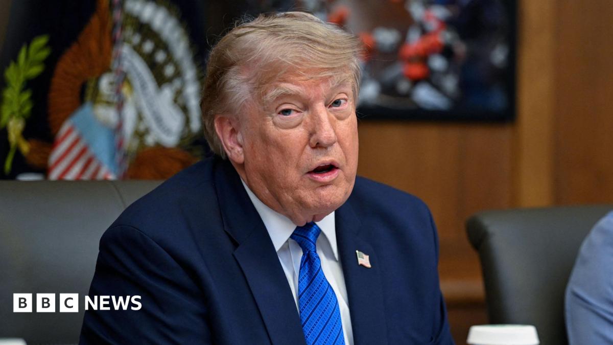 Donald Trump at a US cabinet meeting