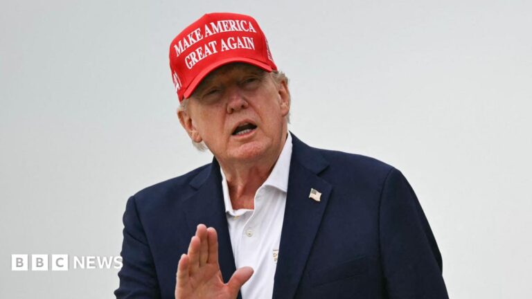Image shows President Donald Trump speaking outdoors, wearing a 'Make America Great Again' cap, with his hand raised.