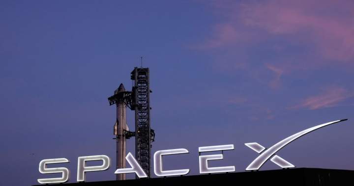 SpaceX stock price chart with AI investment strategy details