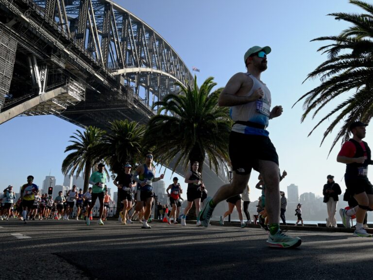 Pro-Palestine activists waving flags and holding signs during the Sydney Marathon protests against Israeli soldiers.