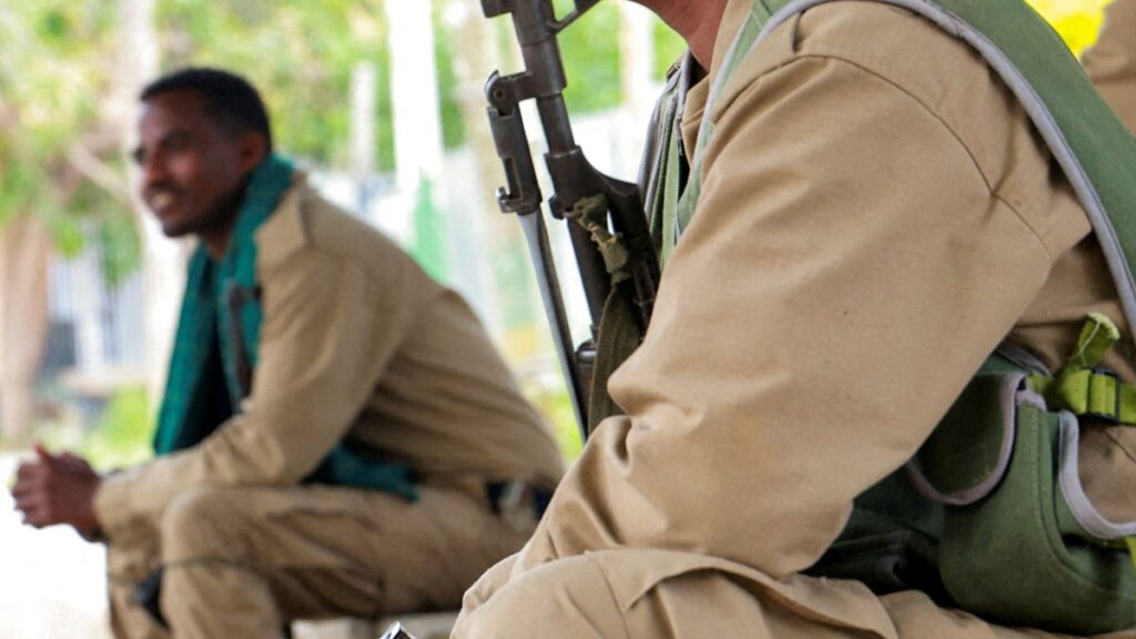 An analysis of the newly formed Ethiopia rebel alliance and its long-term viability in the current conflict.