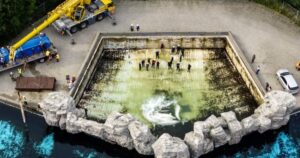 A beluga whale in a tank, representing the recent tragic losses during the Marineland animal relocation program.