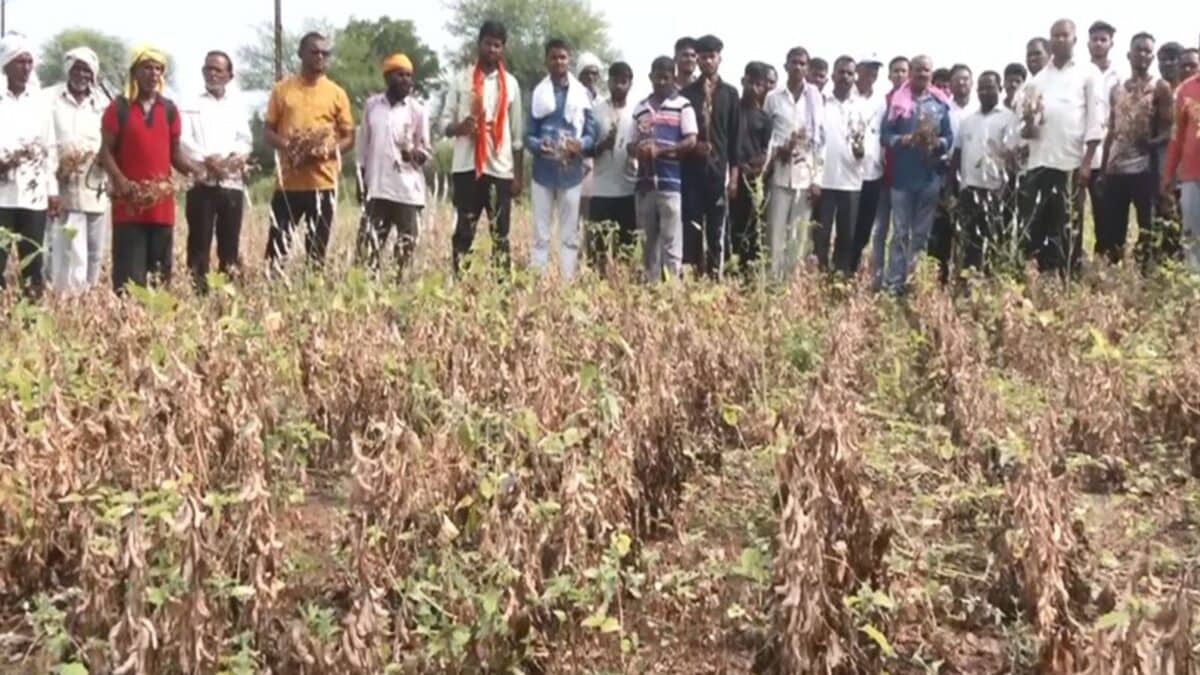 Farmers in Maharashtra facing severe drought conditions as authorities initiate relief measures.