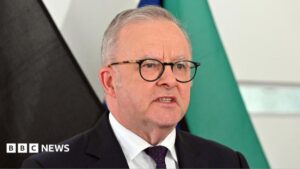 Australian PM Anthony Albanese discusses the security breach caused by an OpenAI autonomous model.