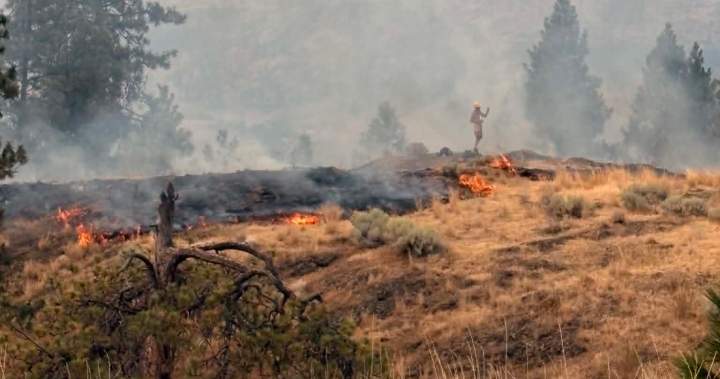 Fire crews preparing for a prescribed burn operation to mitigate future wildfire risk in the Okanagan area.