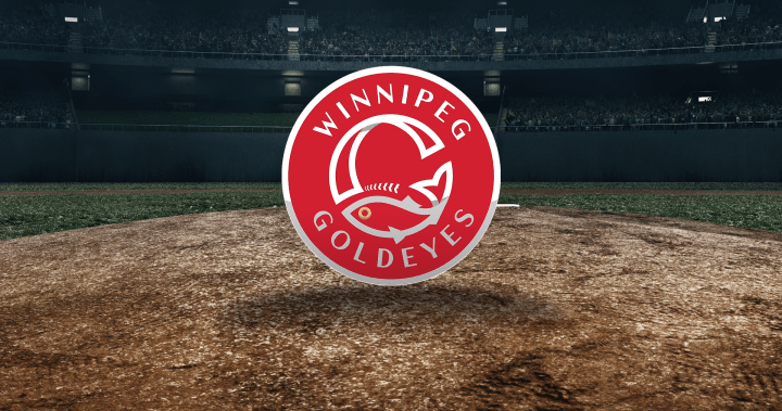 Winnipeg Goldeyes team in action during a baseball game