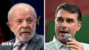Flávio Bolsonaro leads first round of Brazil presidential election