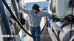 A fuel pump at a gas station symbolizing the global energy crisis.