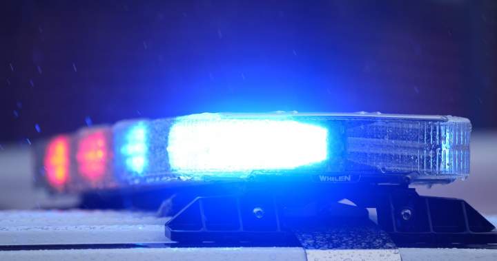 A police vehicle at a crime scene representing a fatal collision investigation.
