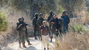 Palestinian farmers face violence and restricted access during the annual olive harvest season.