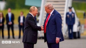 Value: President Trump's decision to import Russian diesel amidst the ongoing global energy crisis and its political implications.