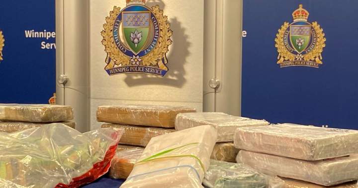 Winnipeg police officers displaying seized cocaine and cash following a raid in the St. Vital neighborhood.